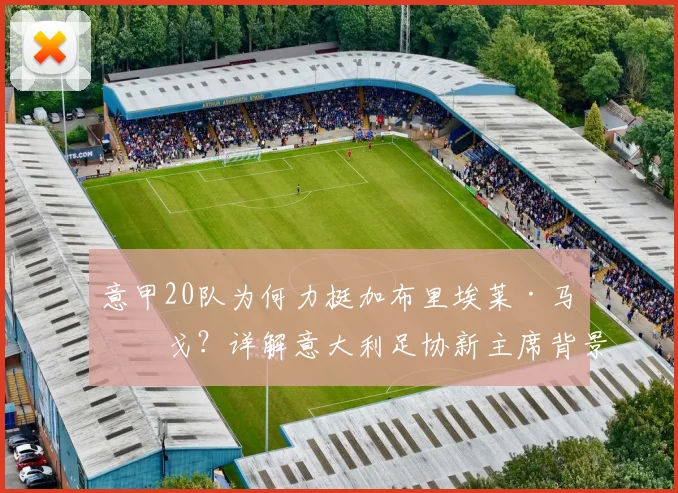 意甲20队为何力挺加布里埃莱·马拉戈?详解意大利足协新主席背景、挑战与未来前景