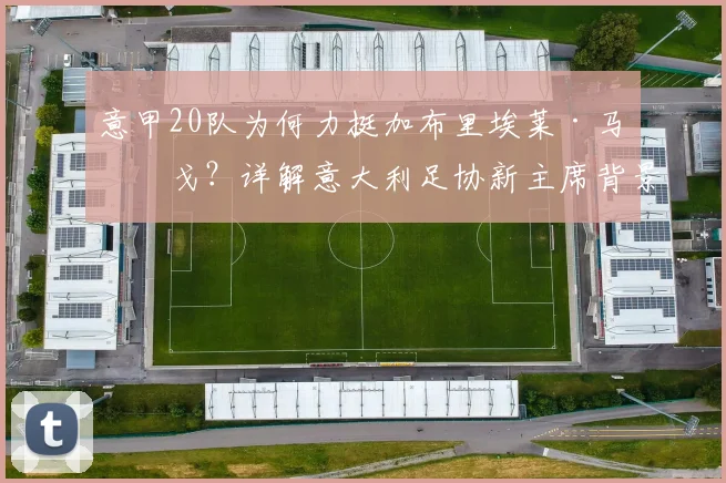 意甲20队为何力挺加布里埃莱·马拉戈？详解意大利足协新主席背景、挑战与未来前景